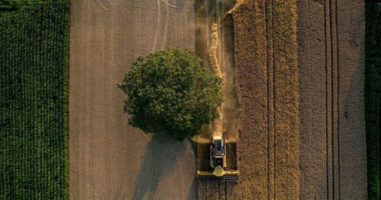 An aerial view of a tractor and a tree in a field