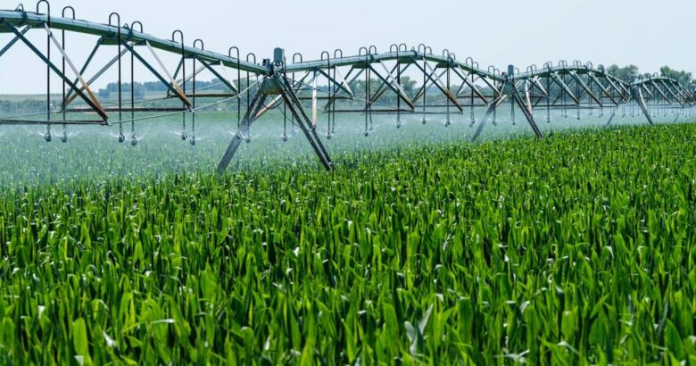 a sprinkler spraying water on a green field