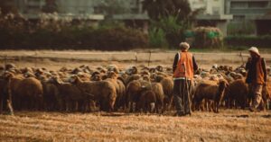 Produtor rural acompanhando indicadores da propriedade